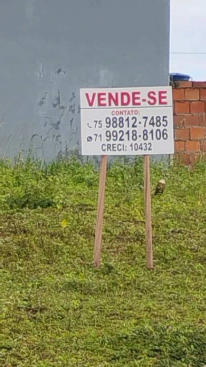 Vendo lotes e sítio 