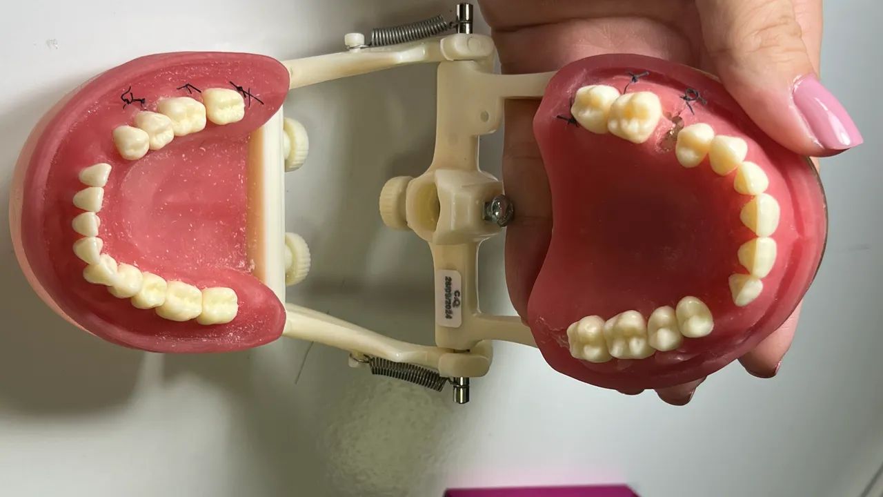Manequim de cirurgia - odontologia  - Foto 2