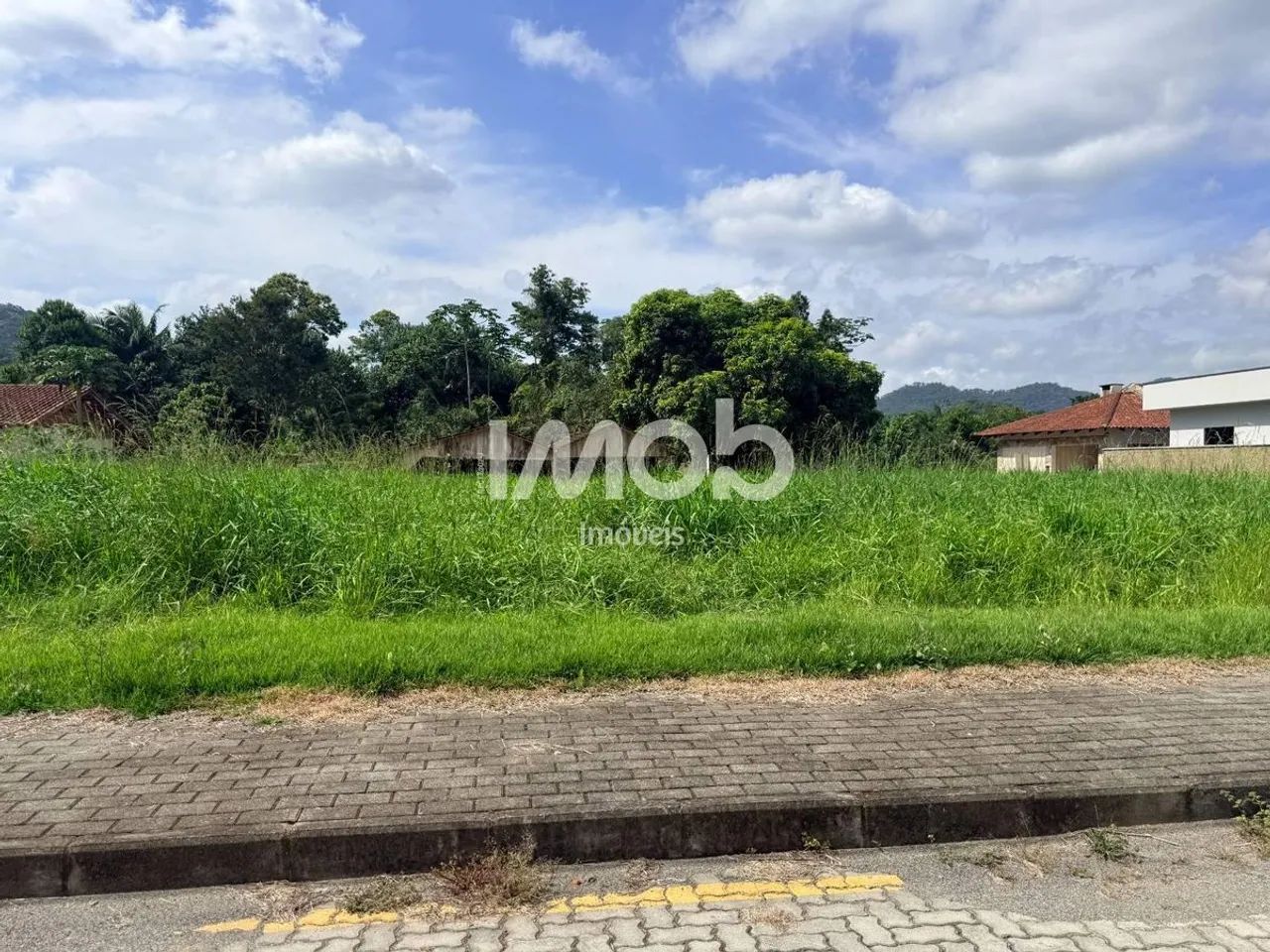 TERRENOS, RIO DA LUZ - Foto 2