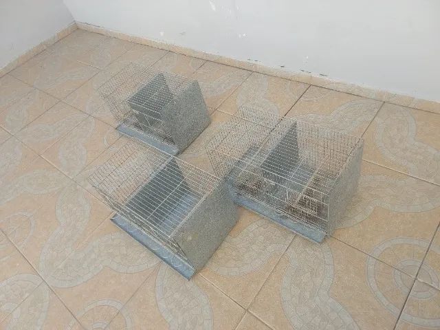 Gaiolas Criadeira  - Foto 4