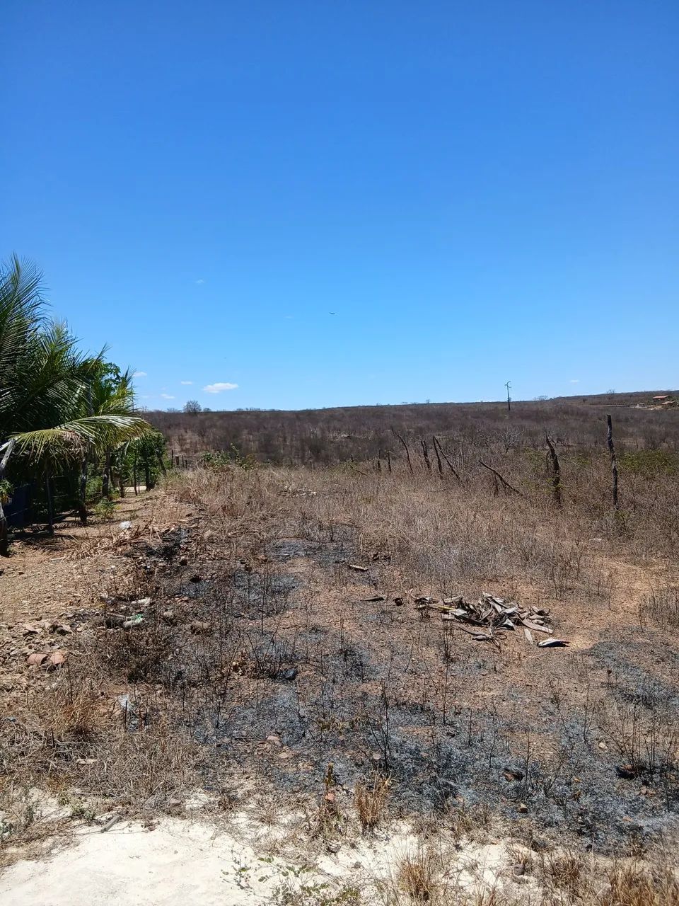 Terreno  - Foto 2