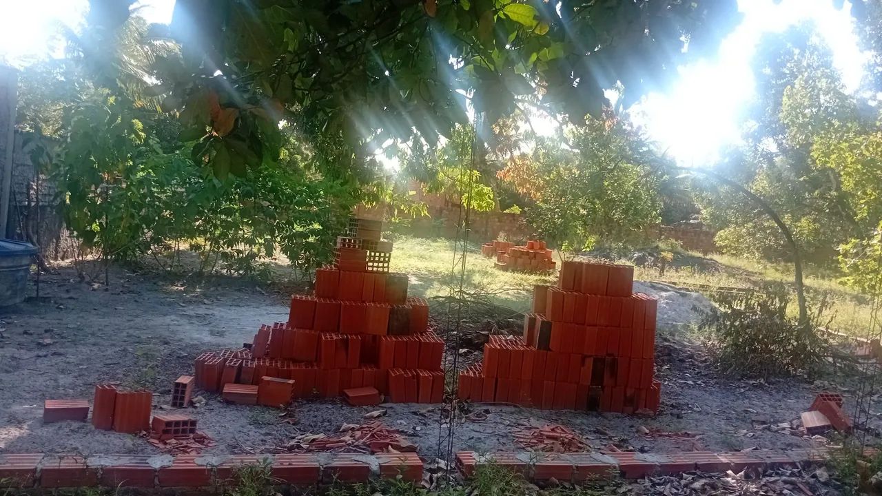 Terrenos - Foto 2