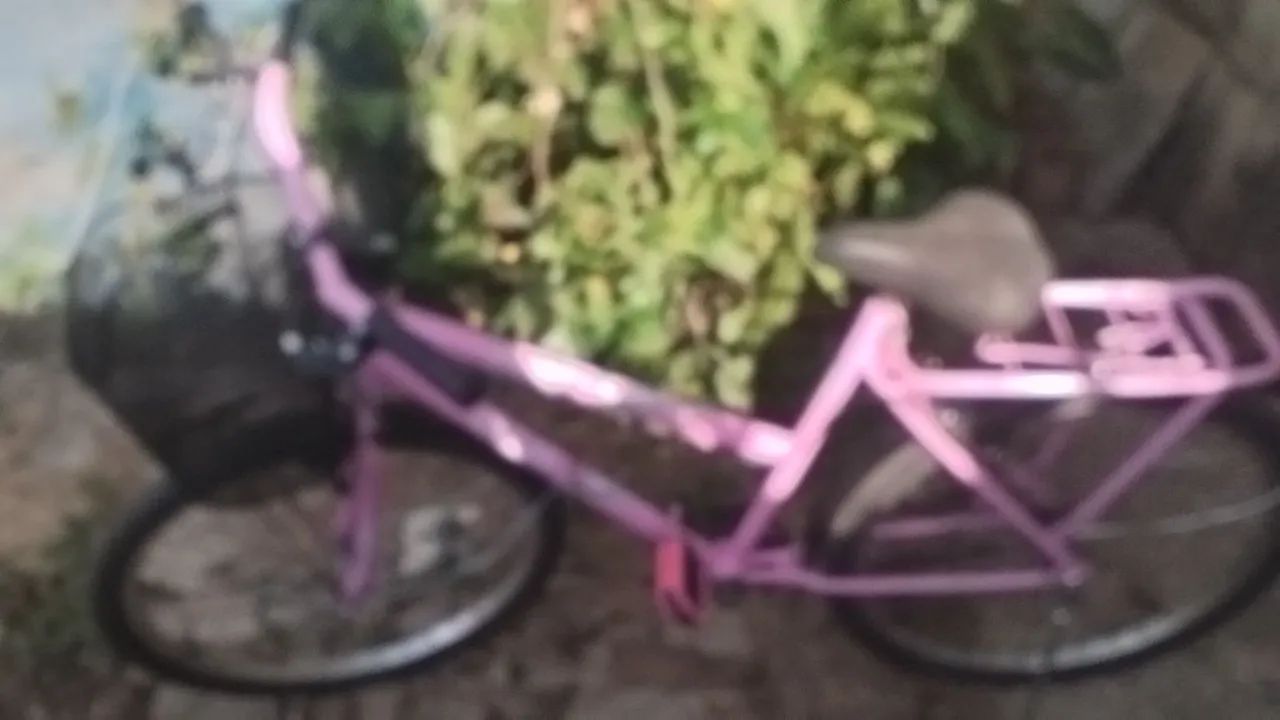 Bicicleta Poti  - Foto 4