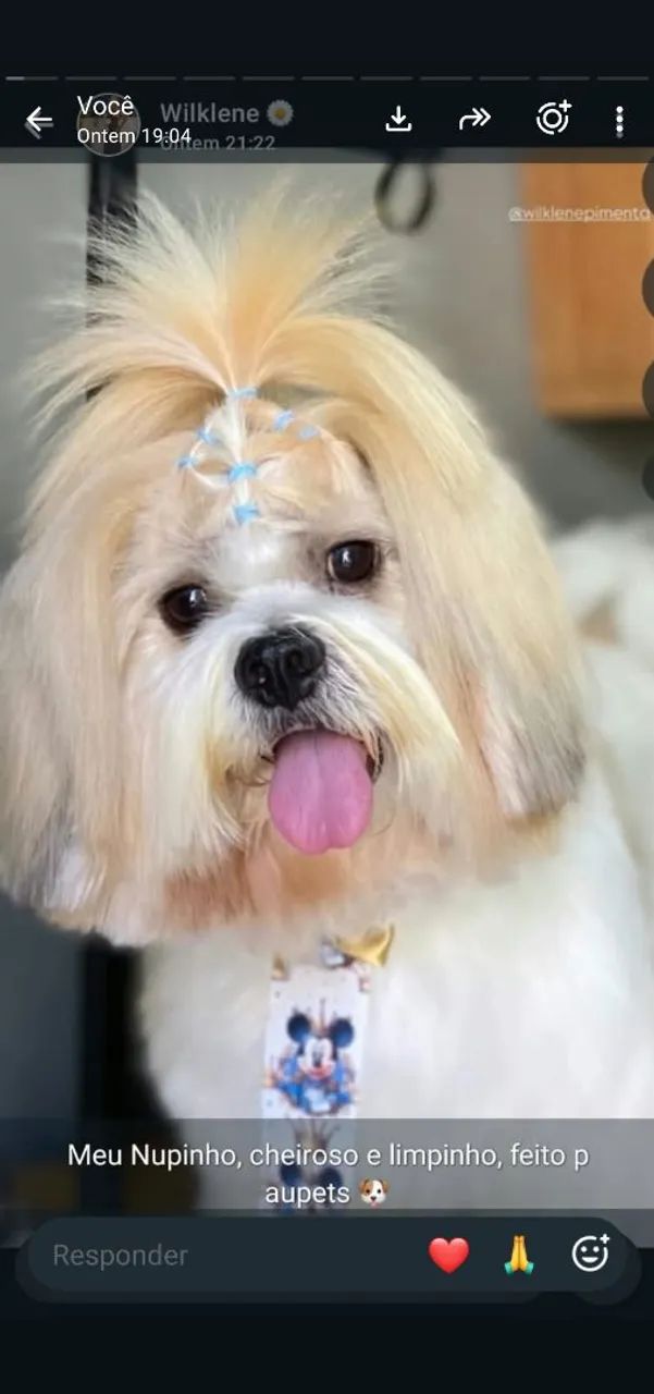 Baba de dog 