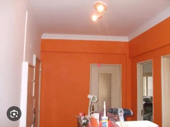 Pintor profissional 