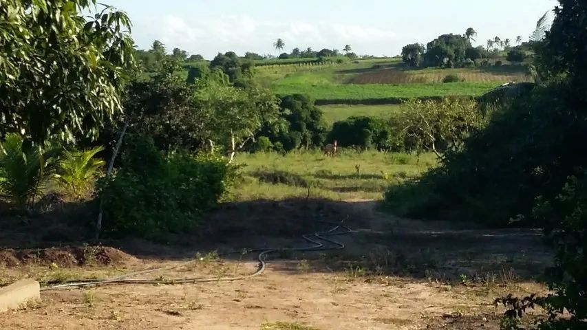 VENDE-SE SÍTIO COM APROXIMADAMENTE 40000M², MUNICÍPIO DE SOBRADO/PB - Foto 5