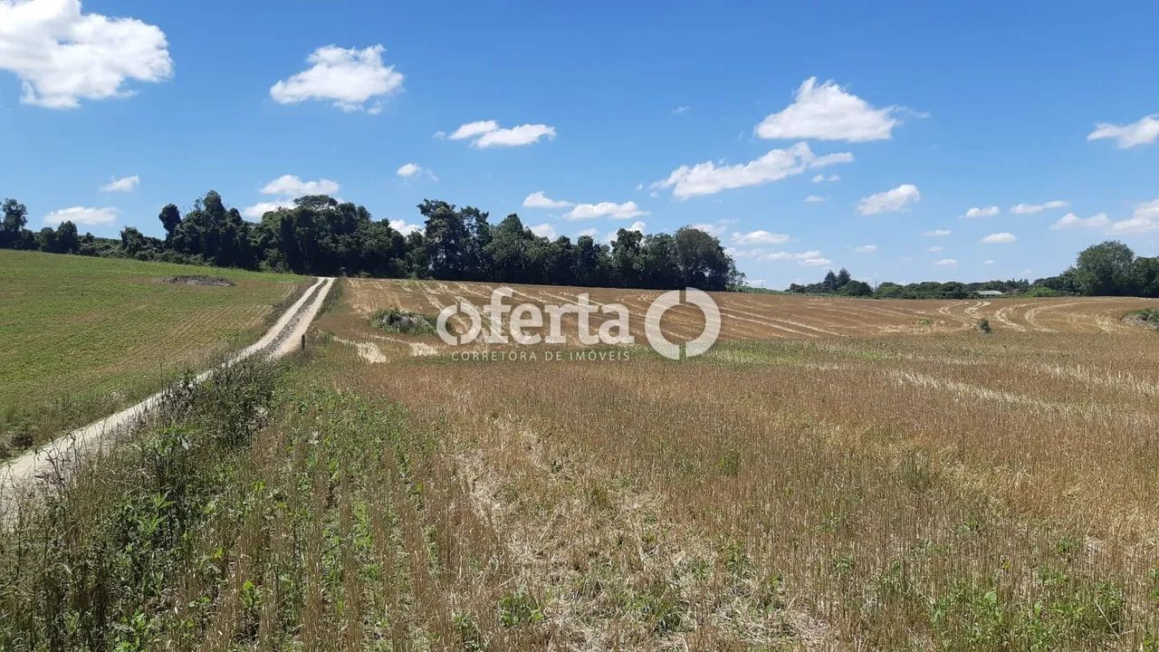 Chácara em Araucária / Campo do Thomaz - Foto 3