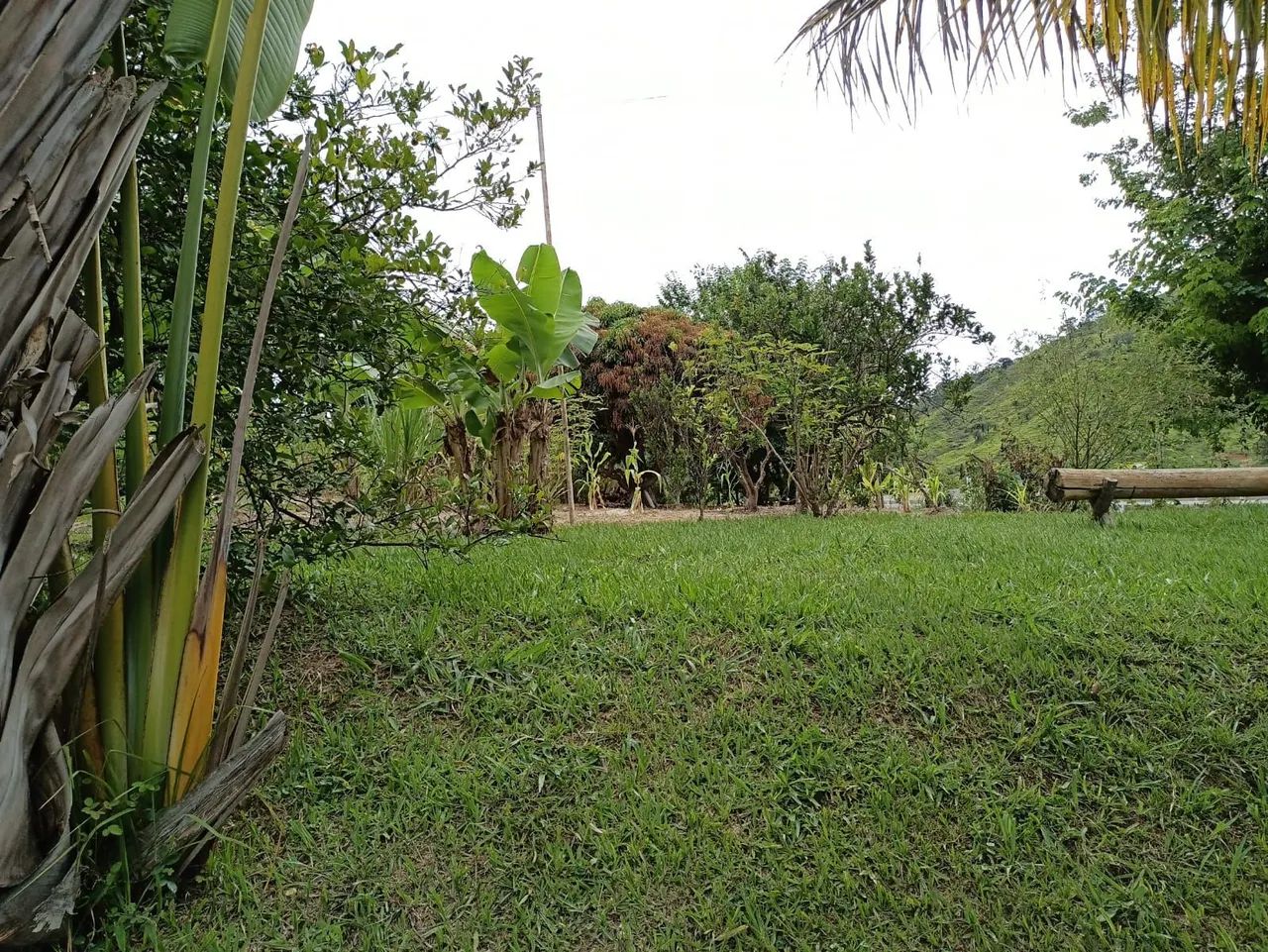 Sítio para locação  - Foto 3