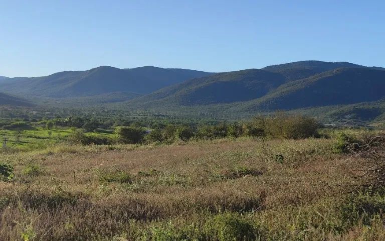 Terreno Chácara com 1.000m2 próximo ao centro de Jequié/BA