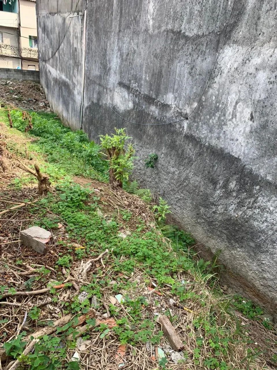 Terreno Bairro Don José  - Foto 2