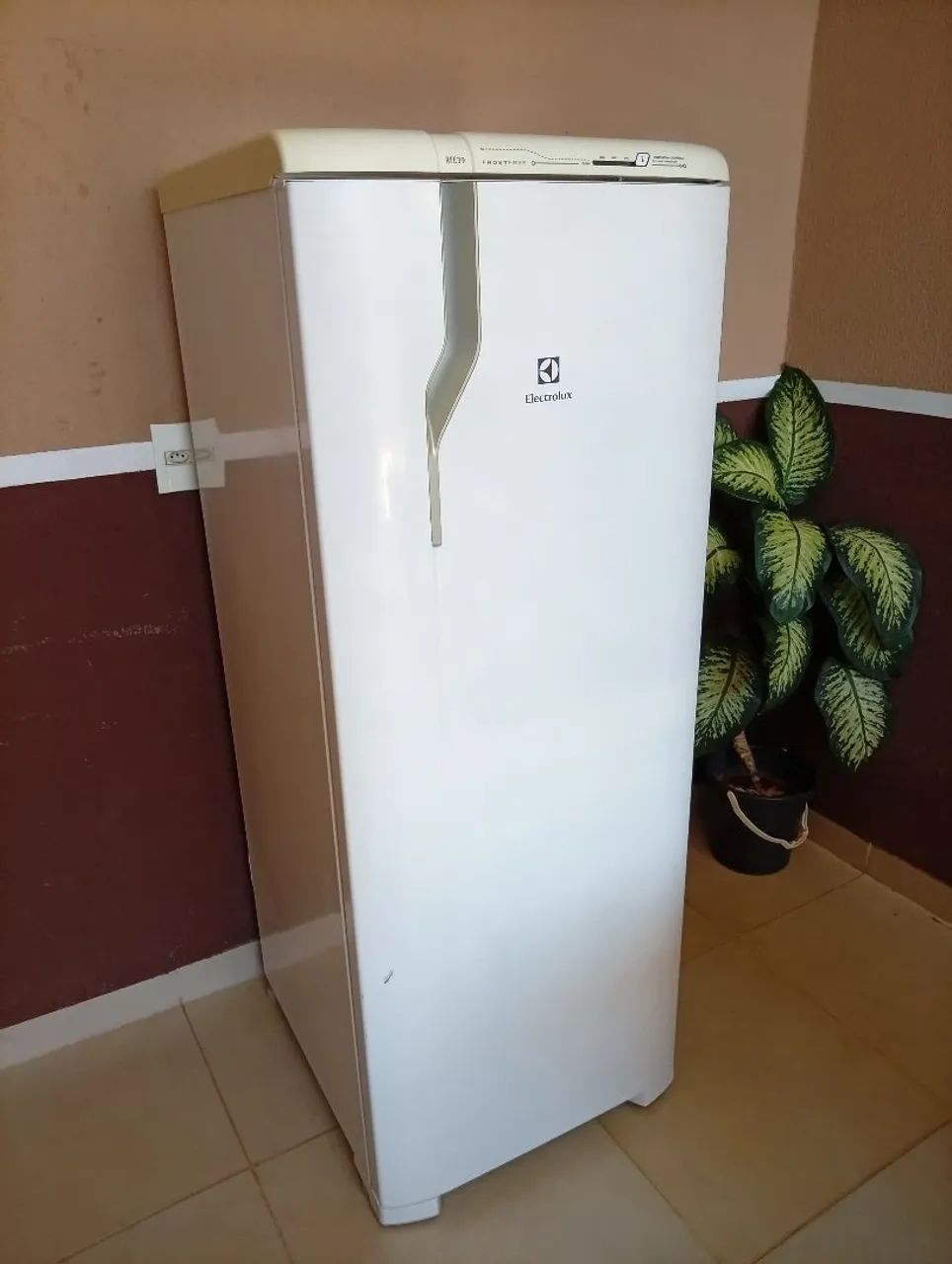Geladeira Electrolux RFE39