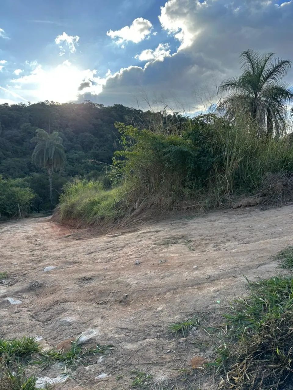 lote - Foto 3