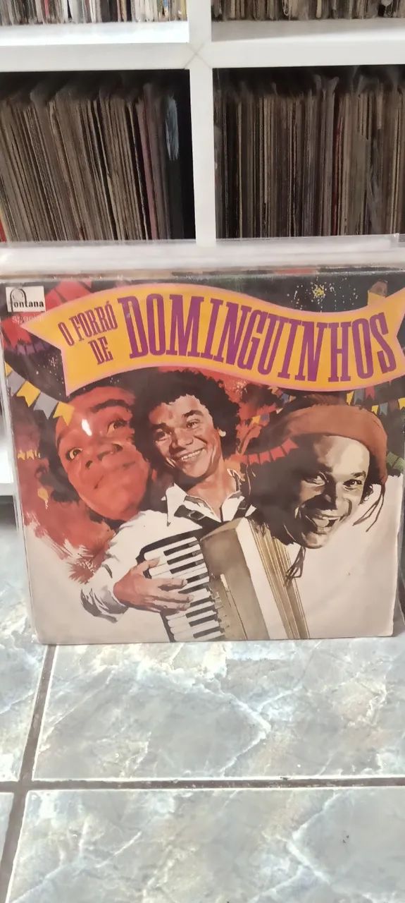 LP Dominguinhos  - Foto 2