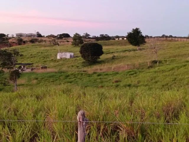 Rancho sítio  - Foto 3
