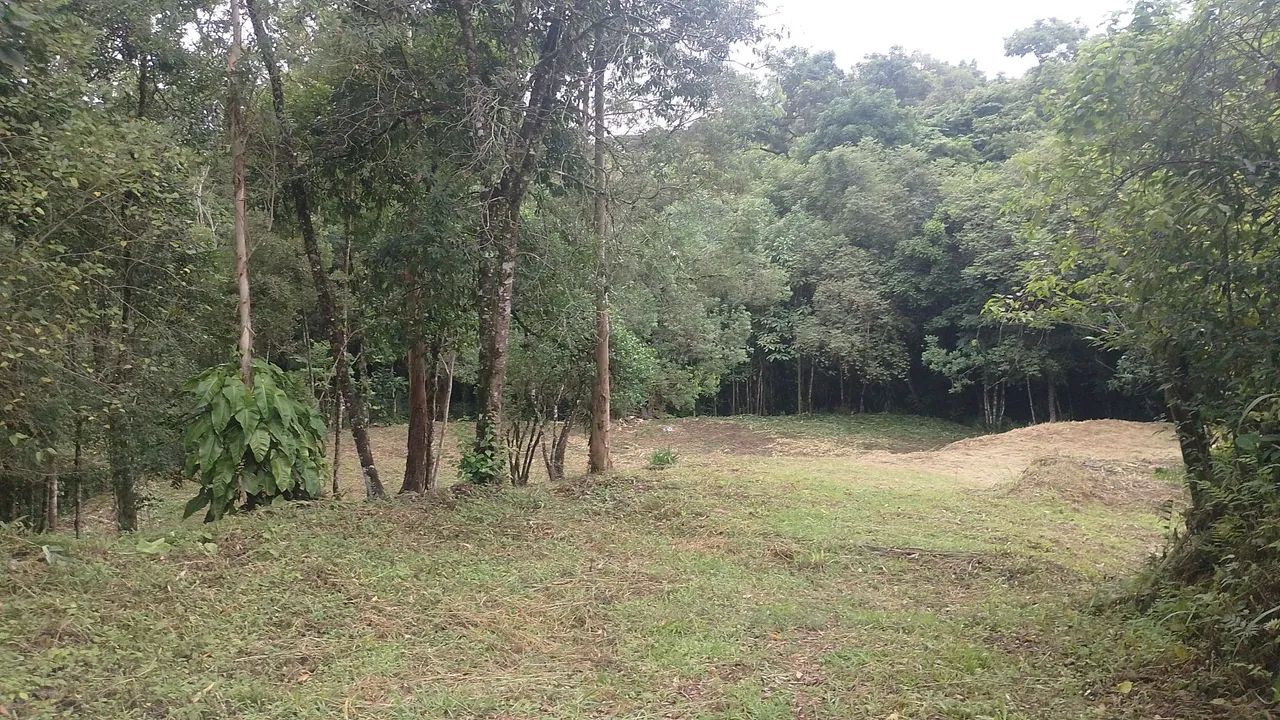 Terreno tipo chácara 1 km do centro de campo largo  - Foto 2