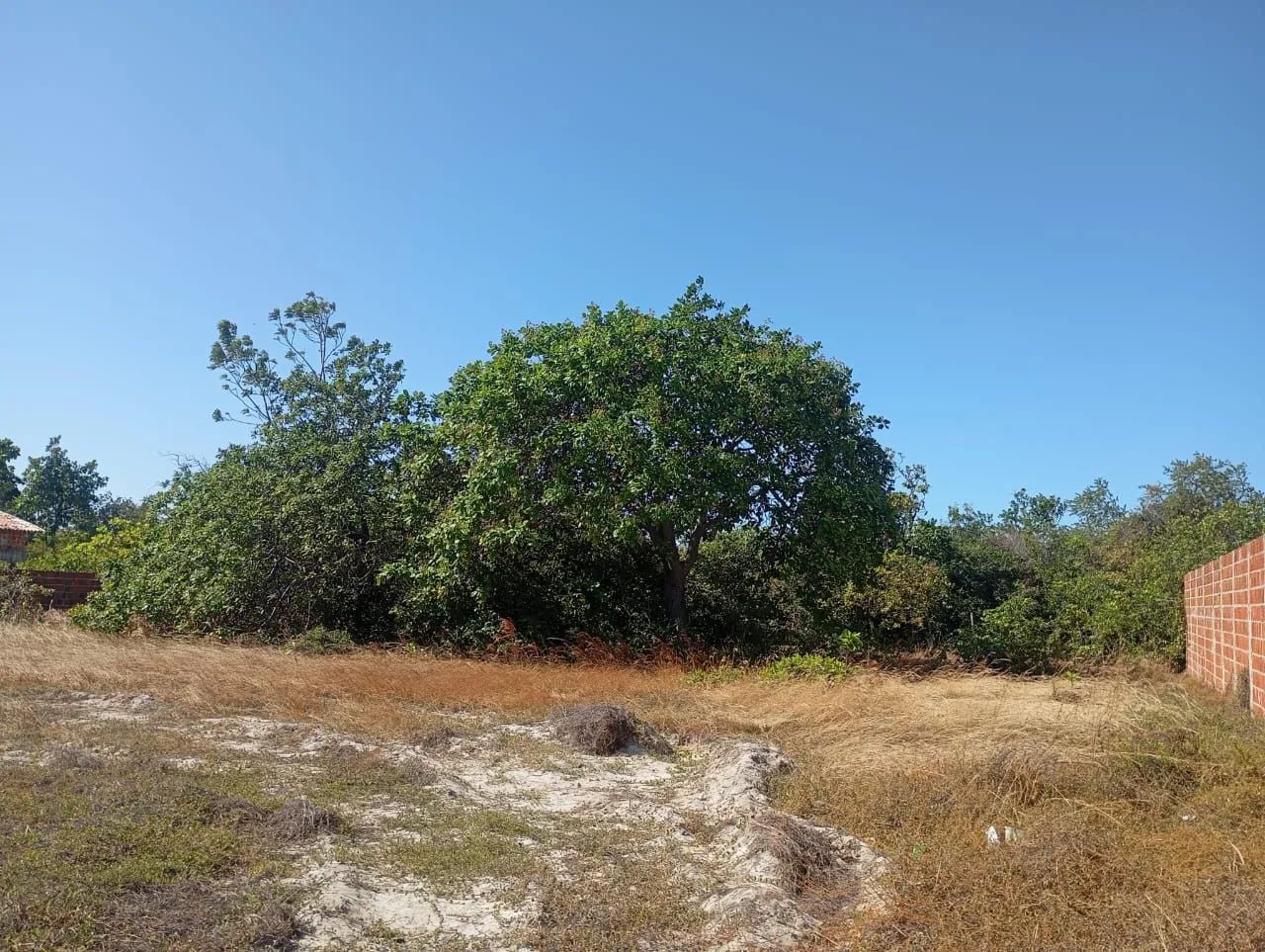 Terreno no Beberibe 12x36 vendo ou troco   - Foto 4