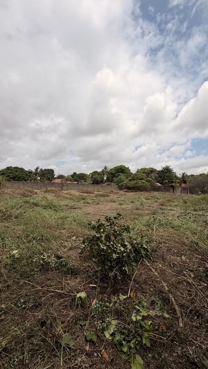 TERRENO LOTE PARA GALPÃO SITIO   - Foto 3