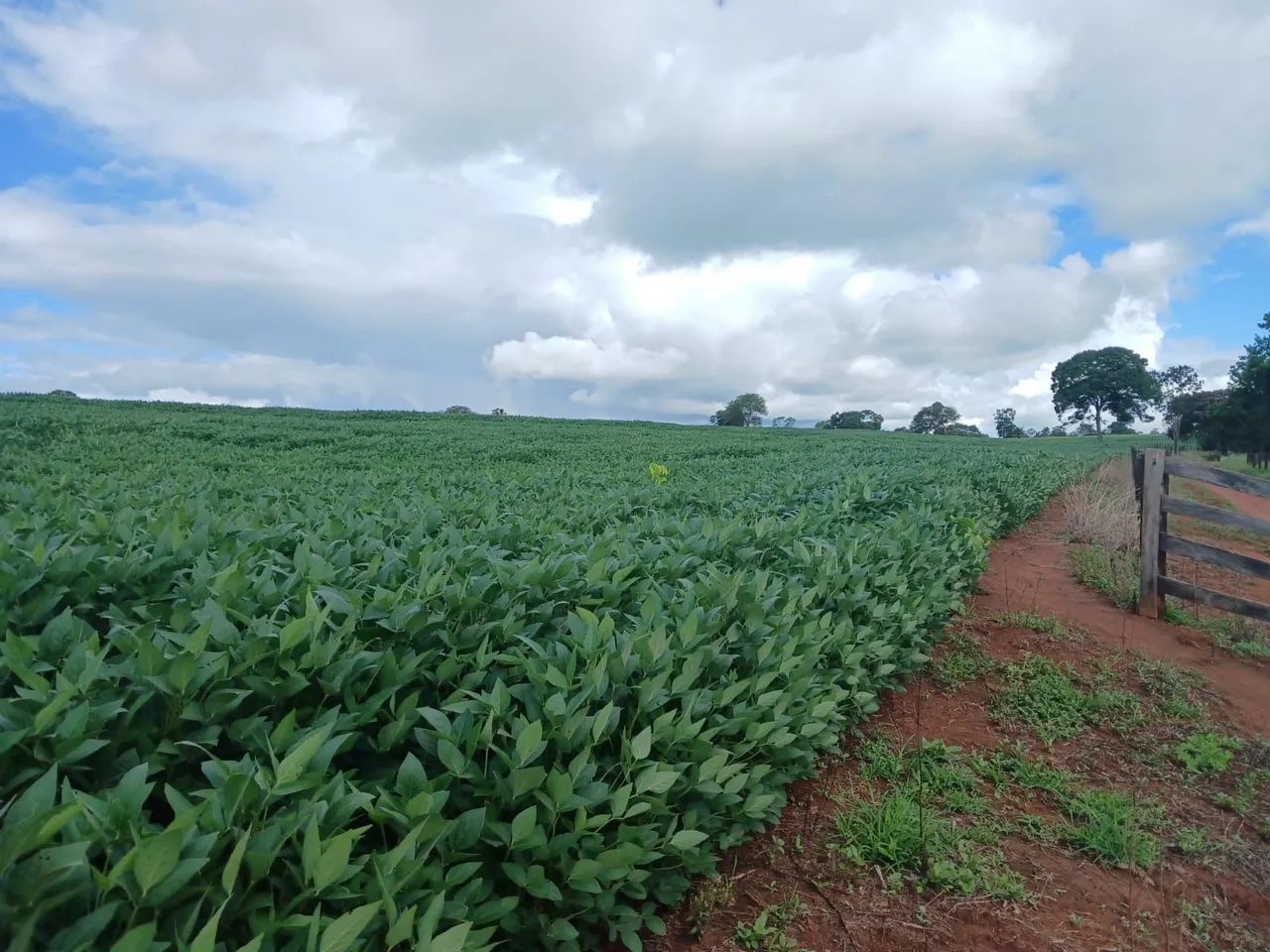 Hidrolândia 9.24 - Foto 3