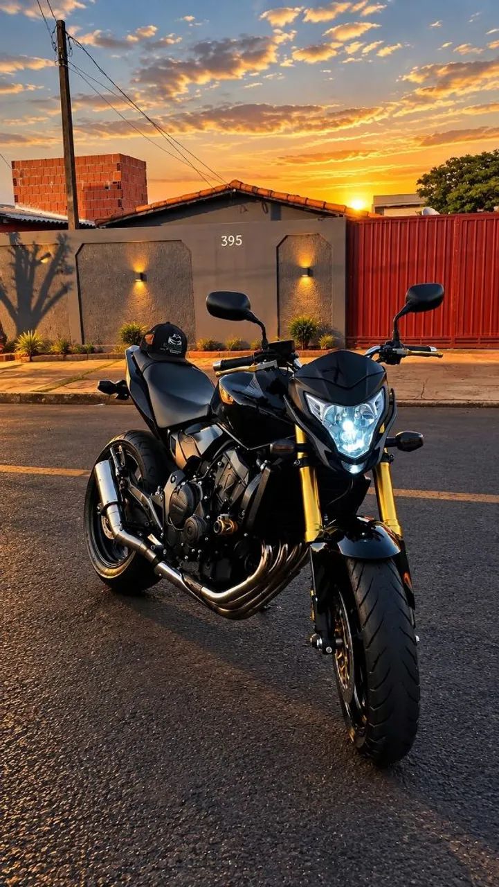 Hornet 600f 
