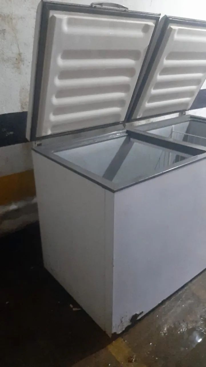 Freezer Vertical