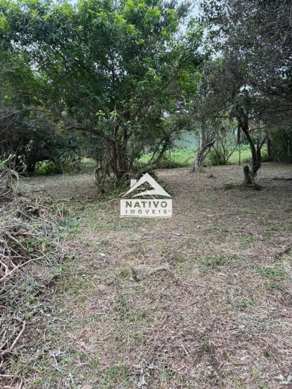Terreno com 1.000 m² no Rio Vermelho Florianópolis - Foto 4