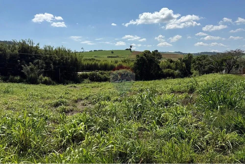 Lote à venda com 1000 metros em Tuiuti