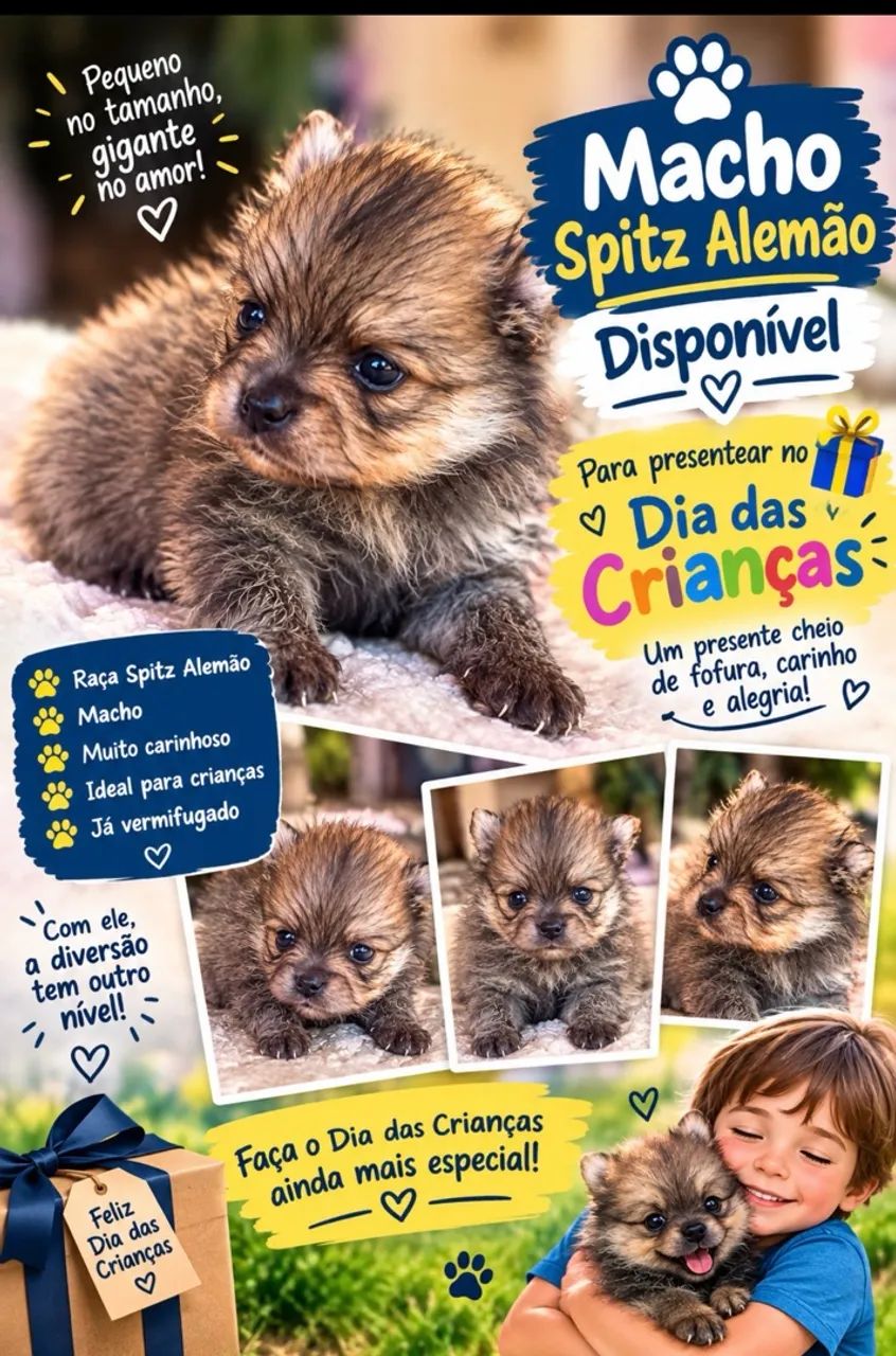 Filhote sptiz alemão - Foto 2