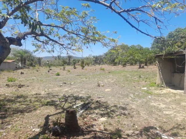 LOTE DE 13068M² - Foto 5
