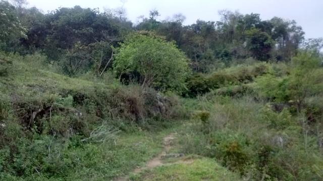 Sitio na Dutra de aproximadamente 3 alqueires Serrinha no sentido São Paulo - Foto 4
