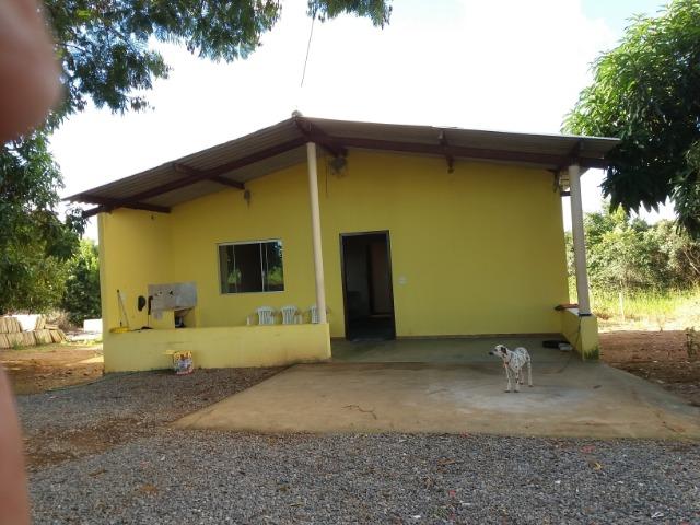 Ótima fazenda 42 Hectares dentro do DF, com água - Foto 12