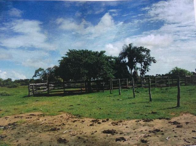 FAZENDA A VENDA NO PANTANAL MS (Pecuária) - Foto 2