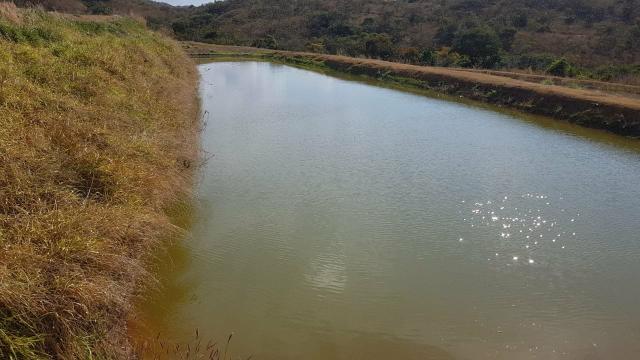 Lindíssima Fazenda de 168 Hectares - Terra Engorda Boi e Criação de Peixes - Foto 6