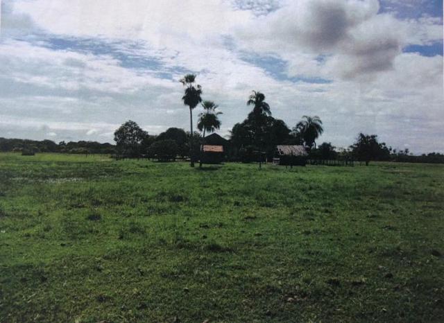 FAZENDA A VENDA NO PANTANAL MS (Pecuária) - Foto 3