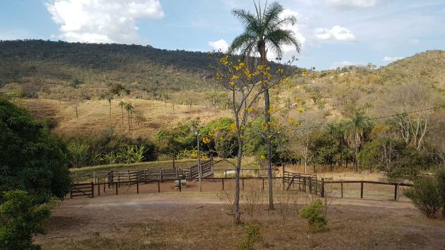 Lindíssima Fazenda de 168 Hectares - Terra Engorda Boi e Criação de Peixes - Foto 17