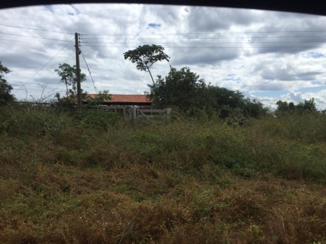 FAZENDA A VENDA EM MATO GROSSO (Dupla Aptidão) - Foto 5