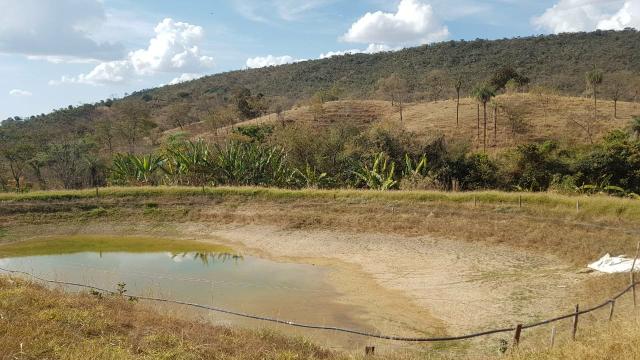 Lindíssima Fazenda de 168 Hectares - Terra Engorda Boi e Criação de Peixes - Foto 10