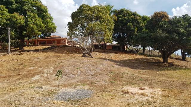 Lindíssima Fazenda de 168 Hectares - Terra Engorda Boi e Criação de Peixes - Foto 15