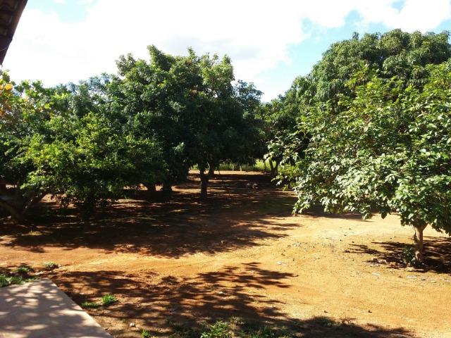 Ótima fazenda 42 Hectares dentro do DF, com água - Foto 5
