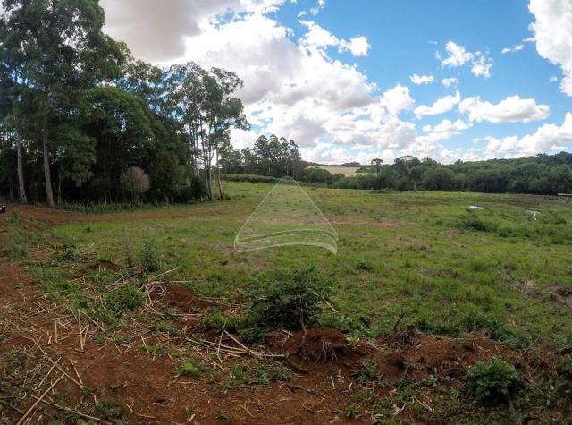 Chácara à venda em Pinheiro torto, Passo fundo cod:11207 - Foto 4