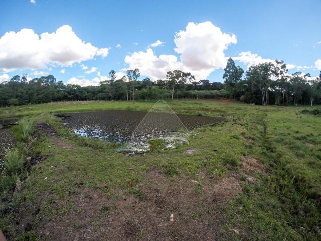 Chácara à venda em Pinheiro torto, Passo fundo cod:11207 - Foto 7