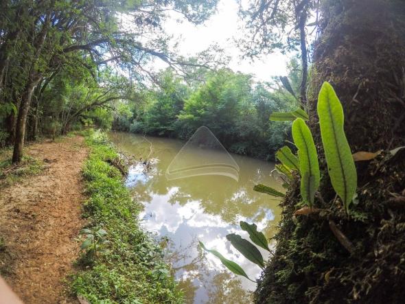 Chácara à venda em Pinheiro torto, Passo fundo cod:11207 - Foto 8