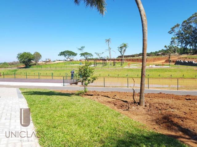Terreno à venda em Centro, Nova santa rita cod:TE0296 - Foto 4
