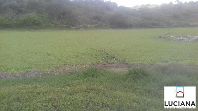 Área em Chã Grande com bastate água (Cód.: 9f2e3e) - Foto 4