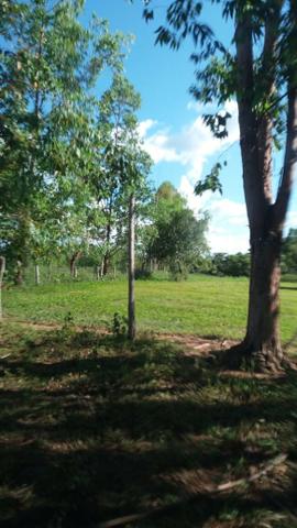 215A/Fazenda de 485 ha com outorga para irrigação às margens do Rio São Francisco - Foto 11