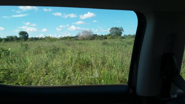 215A/Fazenda de 485 ha com outorga para irrigação às margens do Rio São Francisco - Foto 9