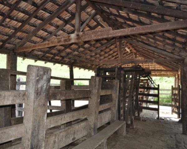 FAZENDA A VENDA EM MINAS GERAIS TEÓFILO OTONI PECUÁRIA CRIA RECRIA ENGORDA CONFINAMENTO (4 - Foto 12