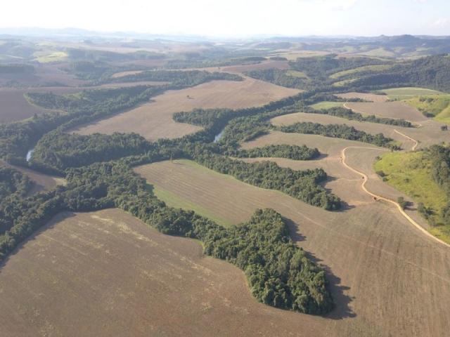 Vendo fazenda 350 alqueires em arapoti-pr - Foto 8