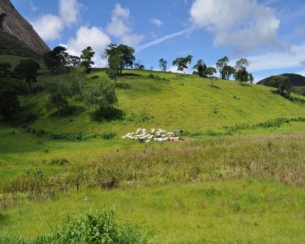 FAZENDA A VENDA EM MINAS GERAIS TEÓFILO OTONI PECUÁRIA CRIA RECRIA ENGORDA CONFINAMENTO (4 - Foto 18