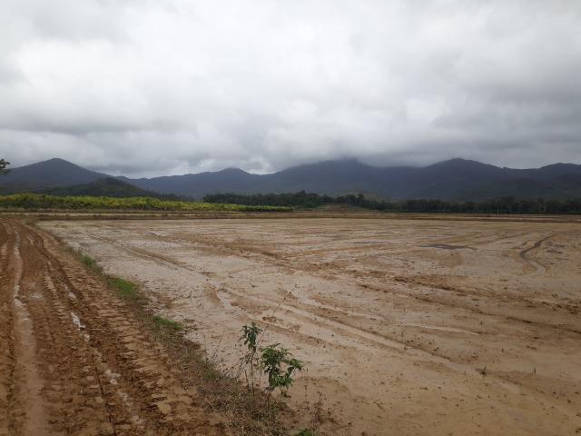 Fazenda Linda para Plantio de Arroz, Aceita parte Parcelado - Foto 9