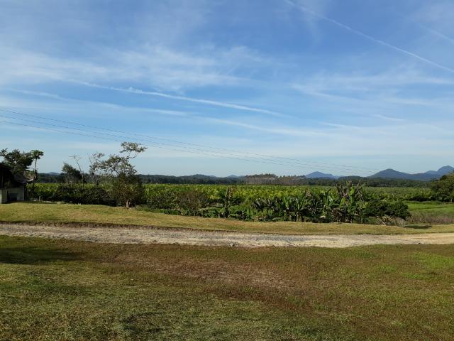 Fazenda Linda para Plantio de Arroz, Aceita parte Parcelado - Foto 18